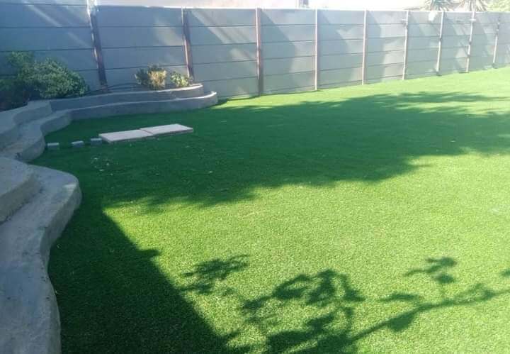 yard-design-11
